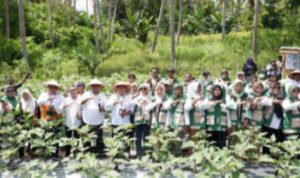 WhatsApp Image 2025-11-05 at 14.26.20